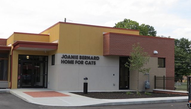 Joanie Bernard Home for Cats